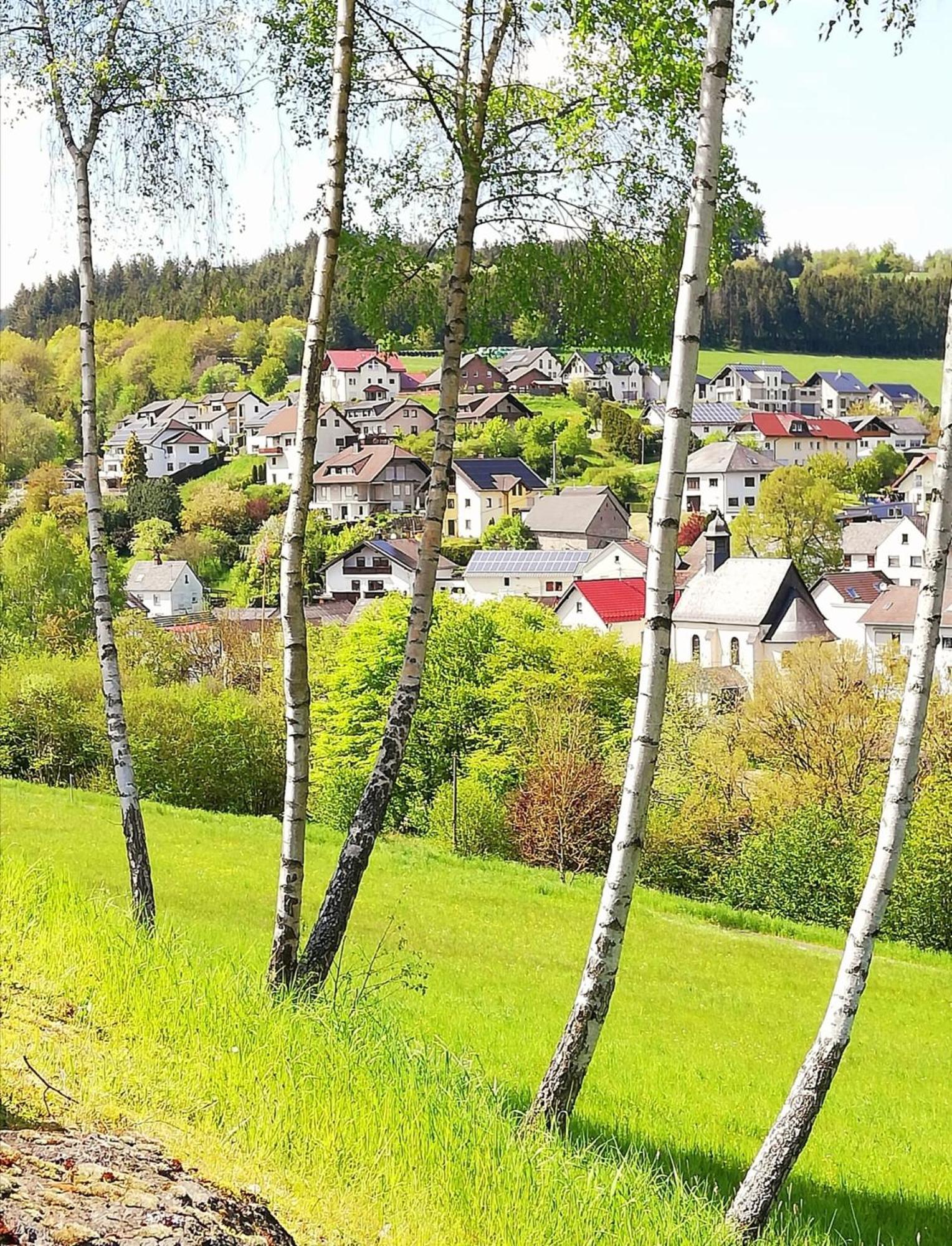 Am Lindenbaum, Ferienwohnung In Siebenbach Am Nuerburgring Luaran gambar