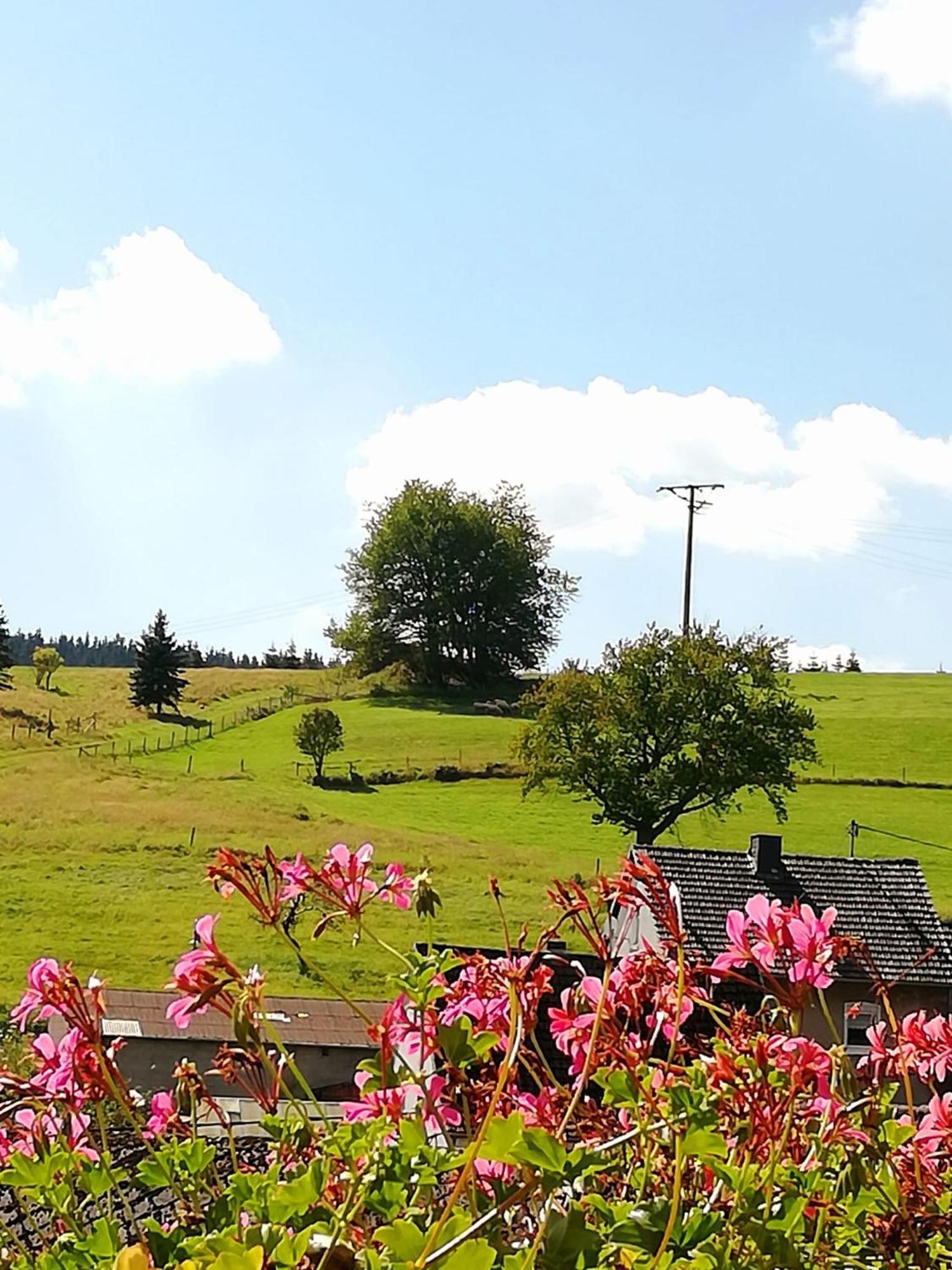 Am Lindenbaum, Ferienwohnung In Siebenbach Am Nuerburgring Luaran gambar