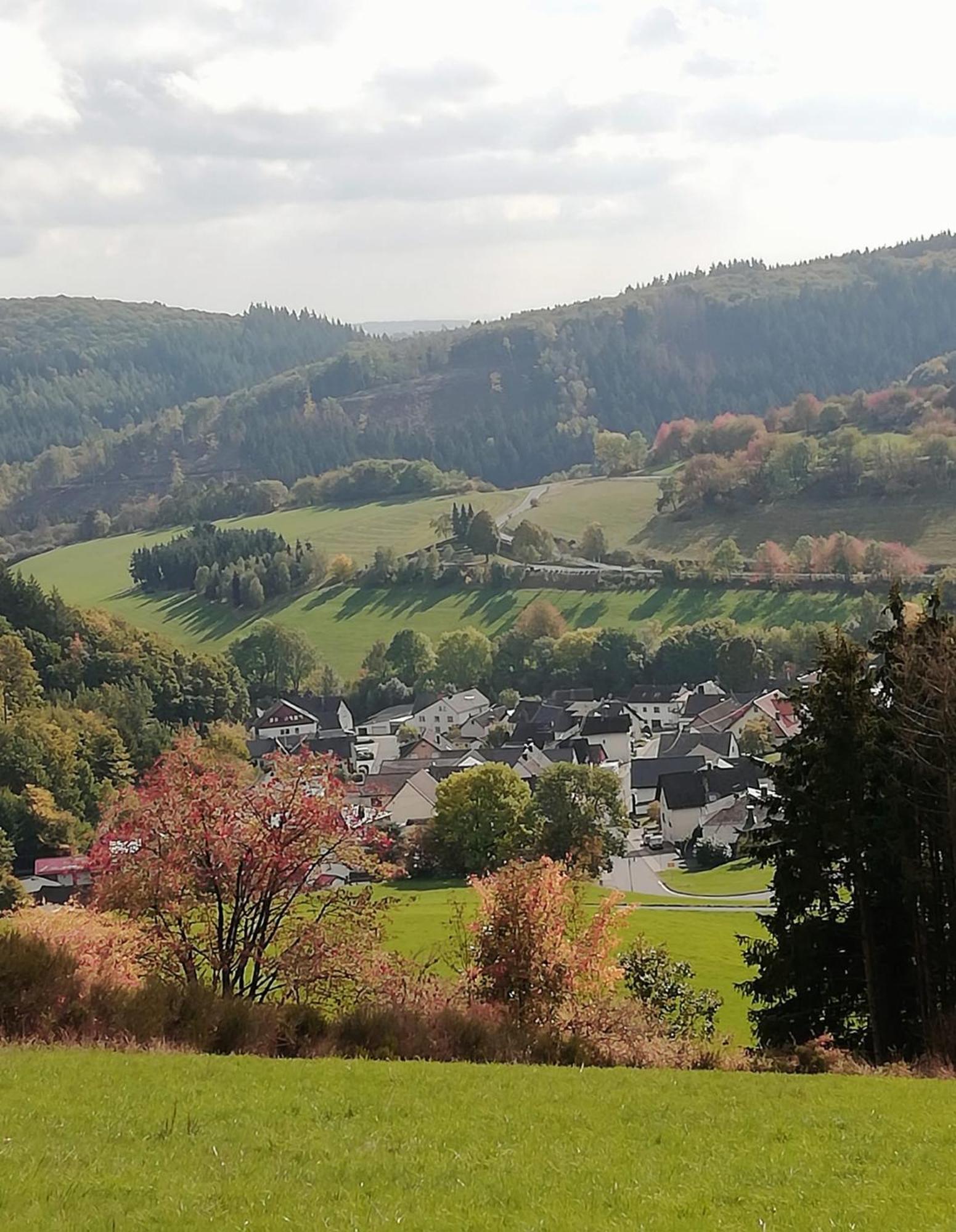 Am Lindenbaum, Ferienwohnung In Siebenbach Am Nuerburgring Luaran gambar
